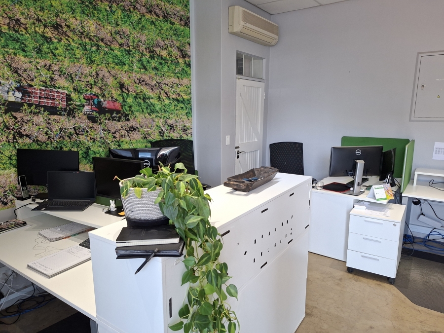To Let Commercial Property for Rent in Stellenbosch Central Western Cape